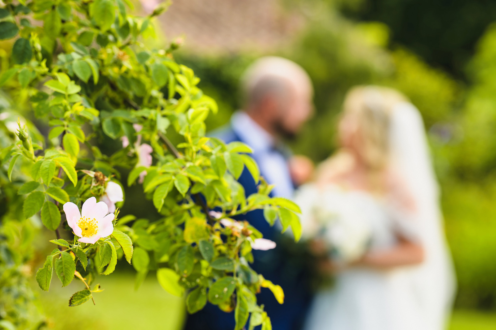 Wedding Photography at Greenway Farm, Wembdon