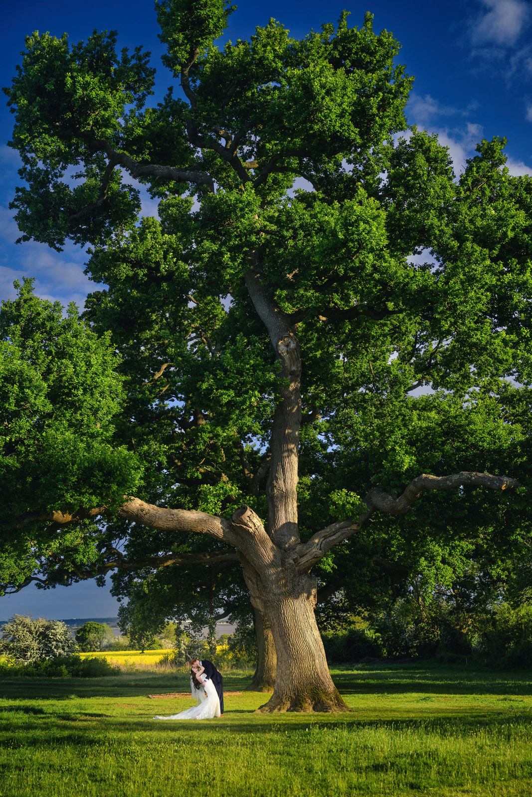 Wedding Photographer at St Tewdrics House Chepstow