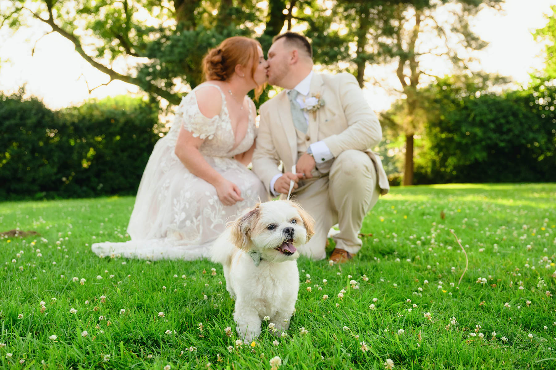Featured image for “Victoria & Matthew’s Wedding Day at Llechwen Hall Hotel”